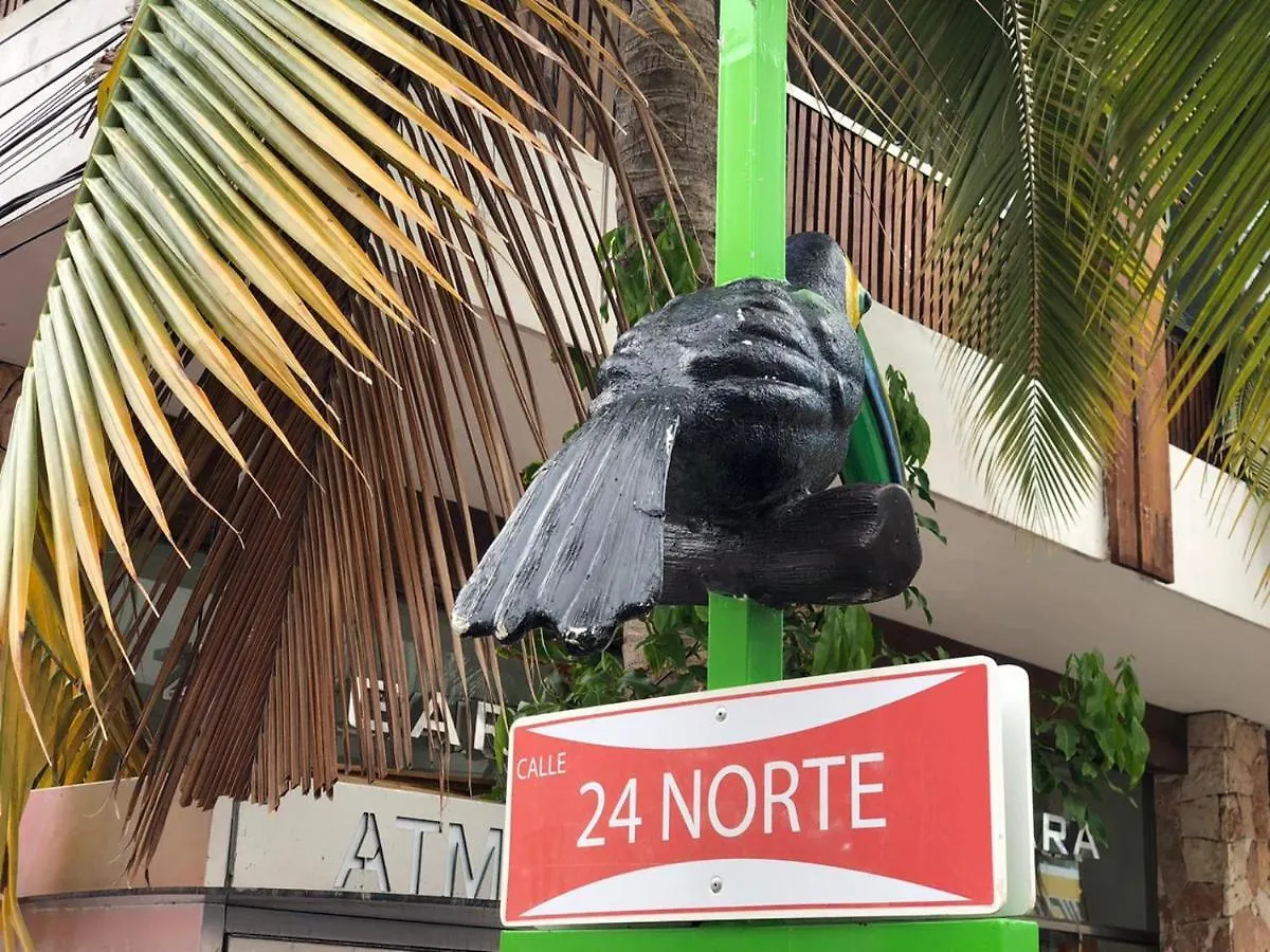 Nolita By Playa Moments Apartment Playa del Carmen